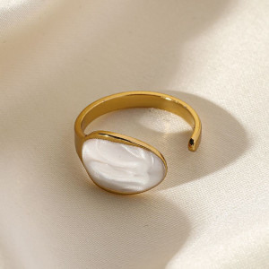 Кольцо сталь CJM17971 Кольцо сталь CJM17971