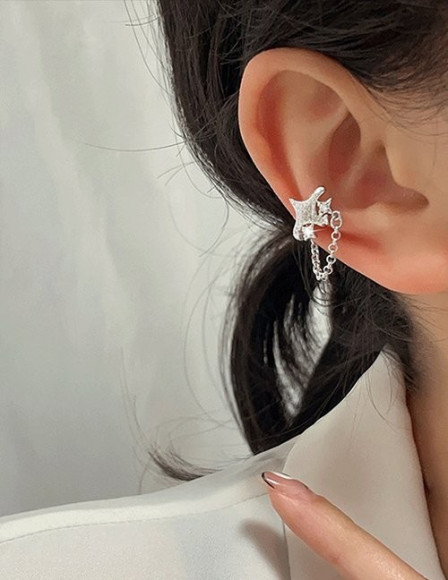 Ювелирные серьги Z14721
