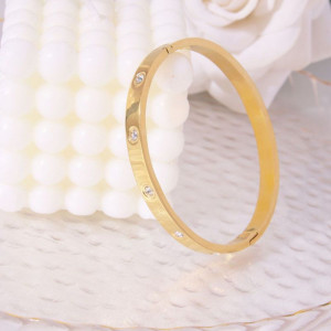 Браслет сталь CJL17748 Браслет сталь CJL17748