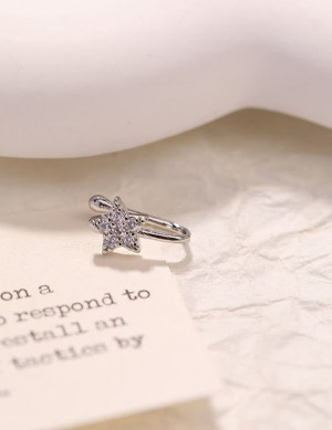 Пирсинг Z59345