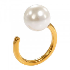 Кольцо сталь CJL25912 Кольцо сталь CJL25912